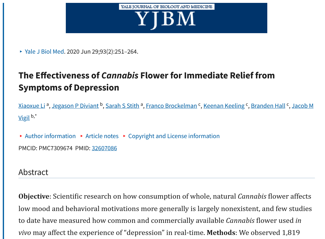 Sofortige Linderung von Depressionssymptomen durch Cannabisblüten