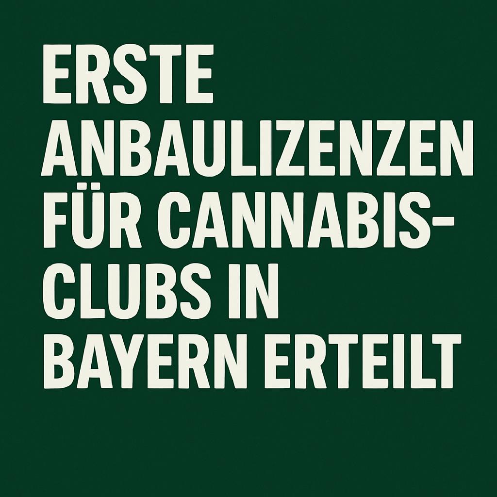 Erste Anbaulizenzen für Cannabis-Clubs in Bayern erteilt